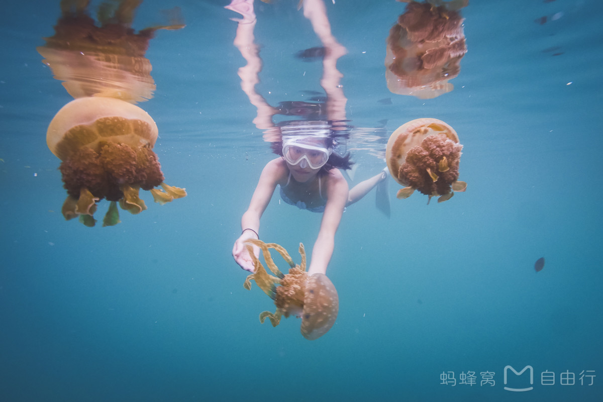 帕劳出海环岛旅游攻略,帕劳旅行攻略大全最新