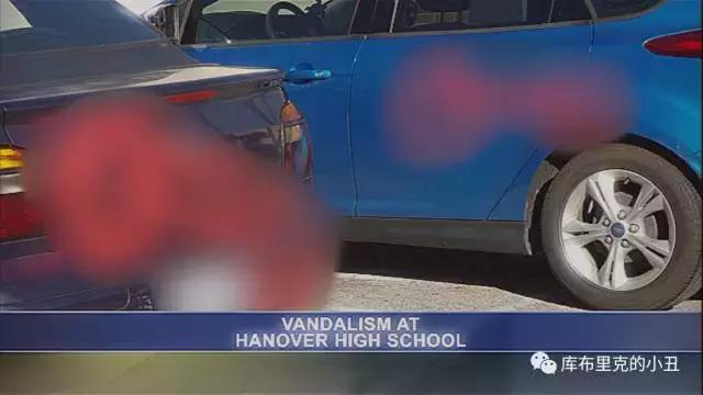 27个JJ引发的贱迷案，把我笑喘了