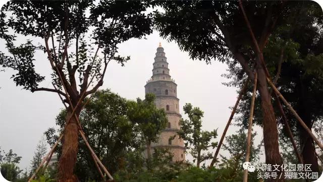 我找到了我找不到了,我找到了我的白月光什么意思