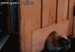 治牙疼幽默搞笑,搞笑段子你是不是有病去医院看