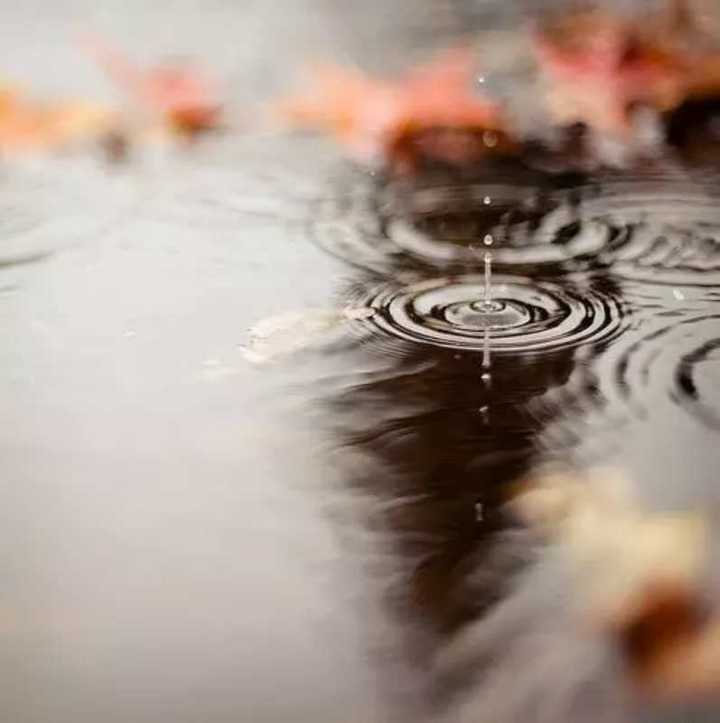 年少无知误入传销，一个单纯男孩儿的情殇梦魇！