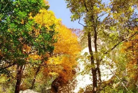 秦皇岛秋景最好的地方 (秦皇岛周边十月赏秋色的地方)