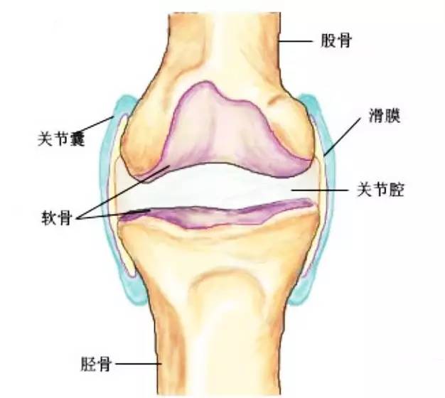 有一种关节肿，叫做滑膜炎