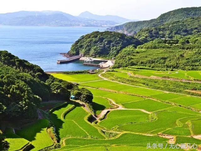 邮轮房间的优缺点,三峡游轮凯珍号优缺点