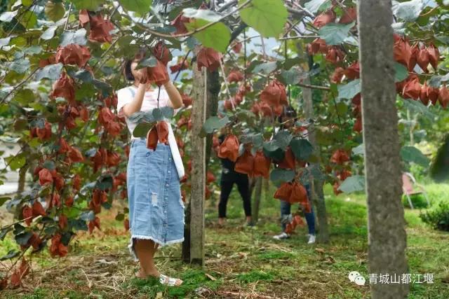四川旅游一条很直的公路,四川唯一一条有路灯的高速公路