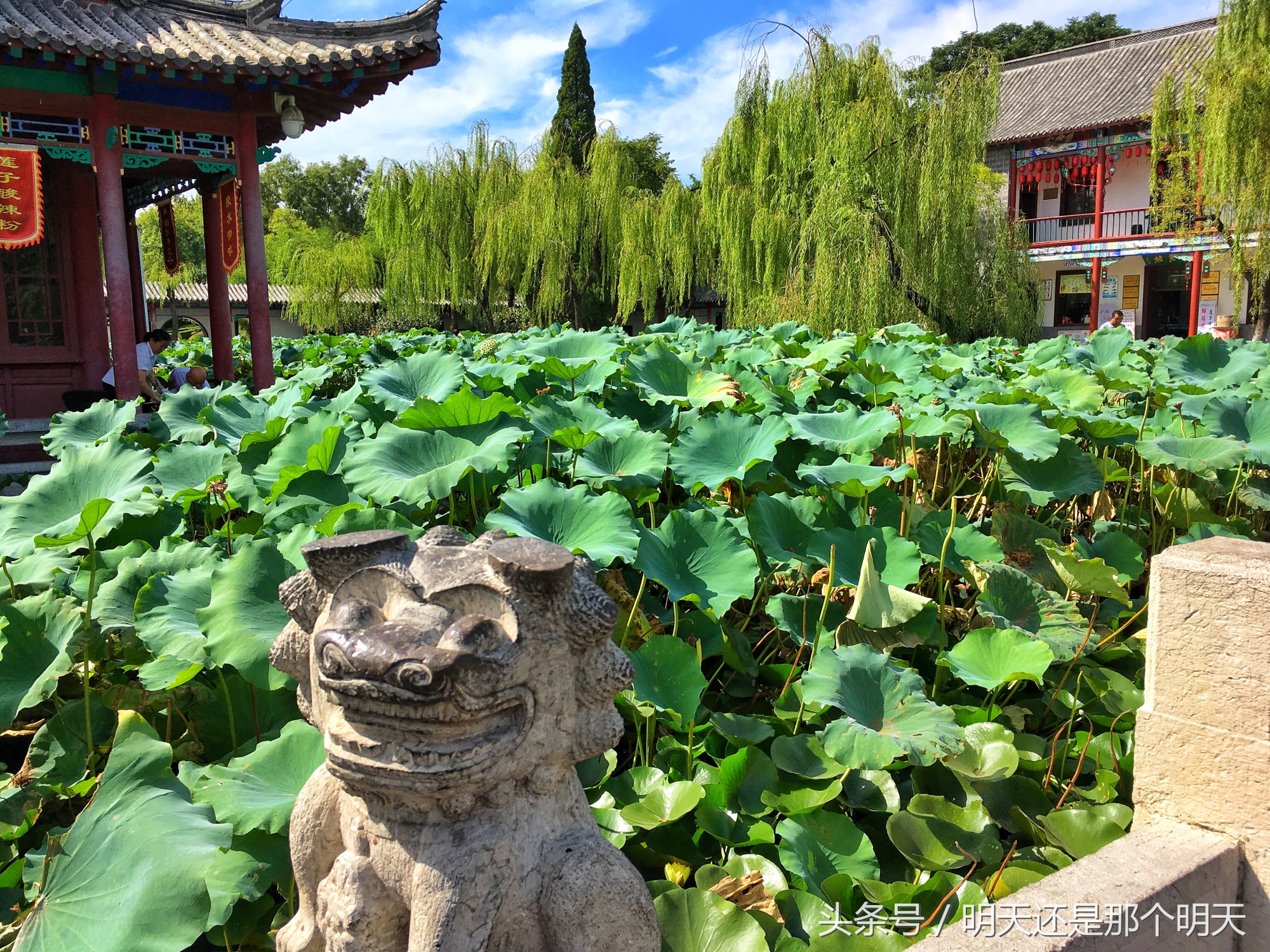 大明湖一城山色半城湖对联照片,一城山色半城湖大明湖对联