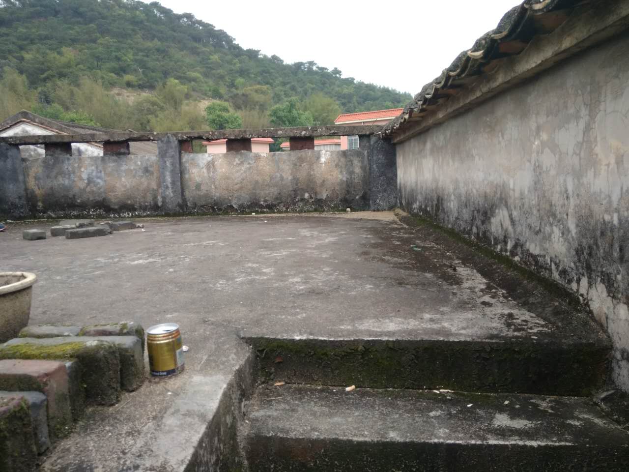 沙田村旅游攻略,广东东莞乡村休闲体验季