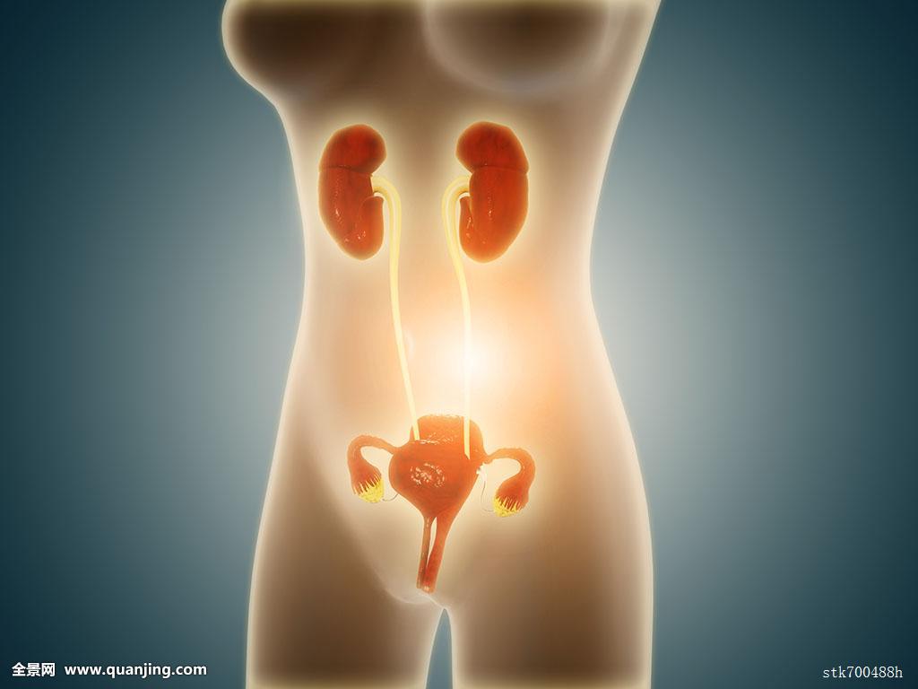 妇科炎症有哪些症状会引起腰疼,妇科炎症有哪些症状用什么药物