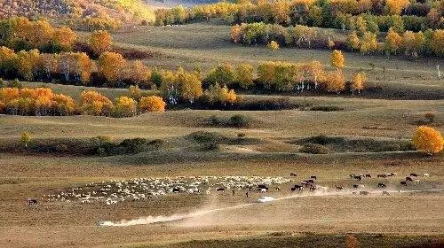 秦皇岛秋景最好的地方 (秦皇岛周边十月赏秋色的地方)