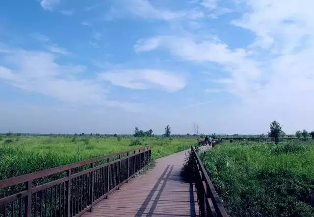 去郑州哪里旅游最便宜又好玩,郑州值得旅游的地方有哪些