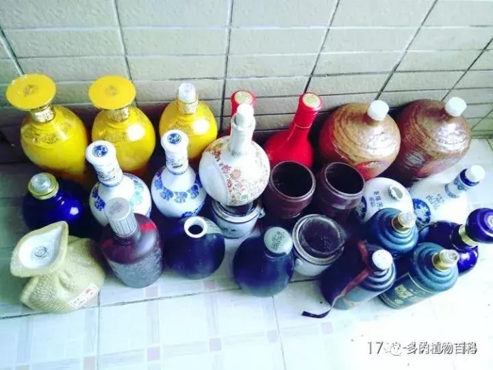 透明酒瓶种多肉怎么才好看,空酒瓶利用种多肉