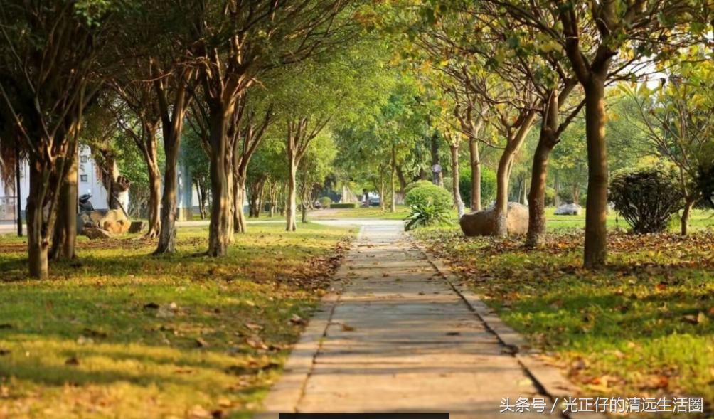 清远华侨中学简介,清远市清远华侨中学