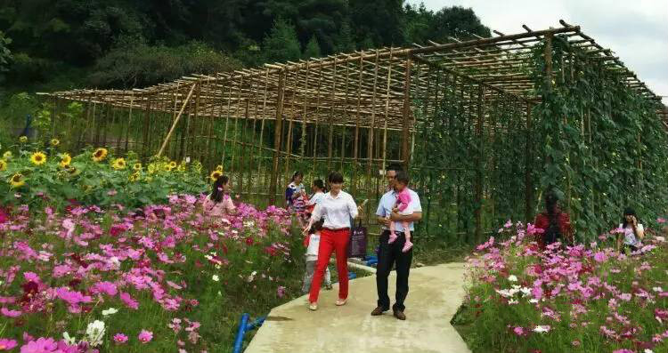 从化莲麻小镇有什么好玩的地方 (从化莲麻小镇景点)