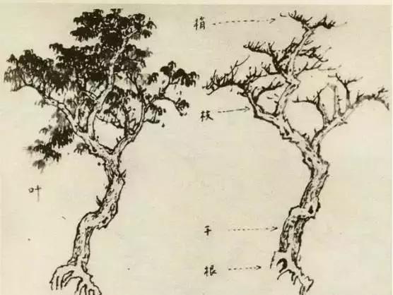 怎么画树最简单而且还最好看,怎么样才能画树画的最好看