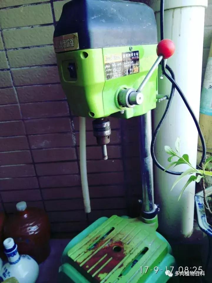 透明酒瓶种多肉怎么才好看,空酒瓶利用种多肉