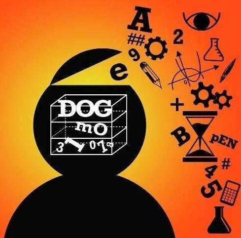 人类的大脑有五大方面,人类的大脑有巨大的潜能可以开发