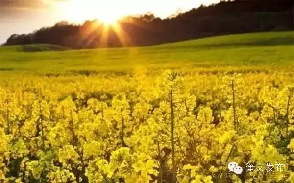 小手牵大手一同去郊游,小手拉着大手一起郊游