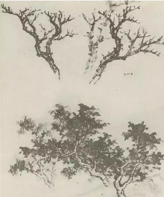 怎么画树最简单而且还最好看,怎么样才能画树画的最好看