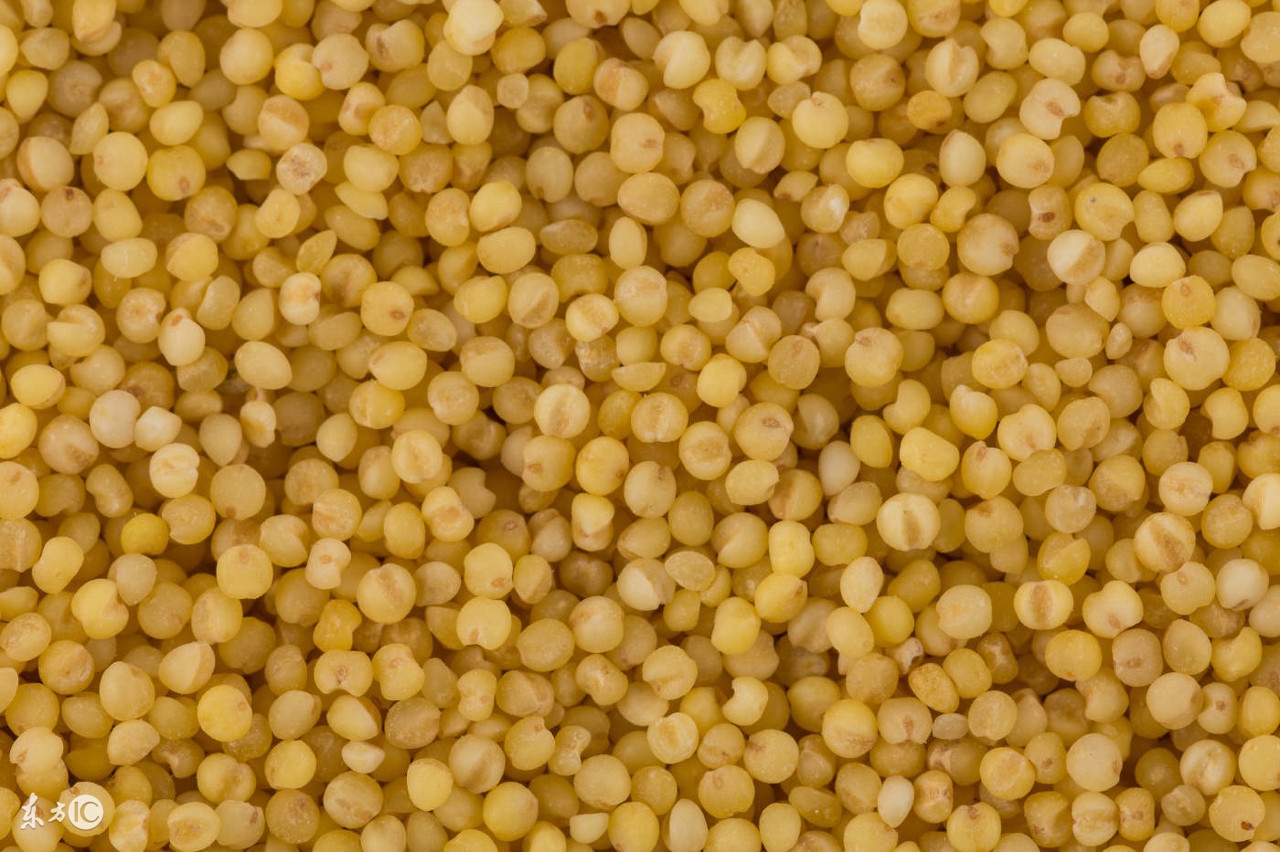 高粱怎么吃最有营养,高粱的营养价值及功效