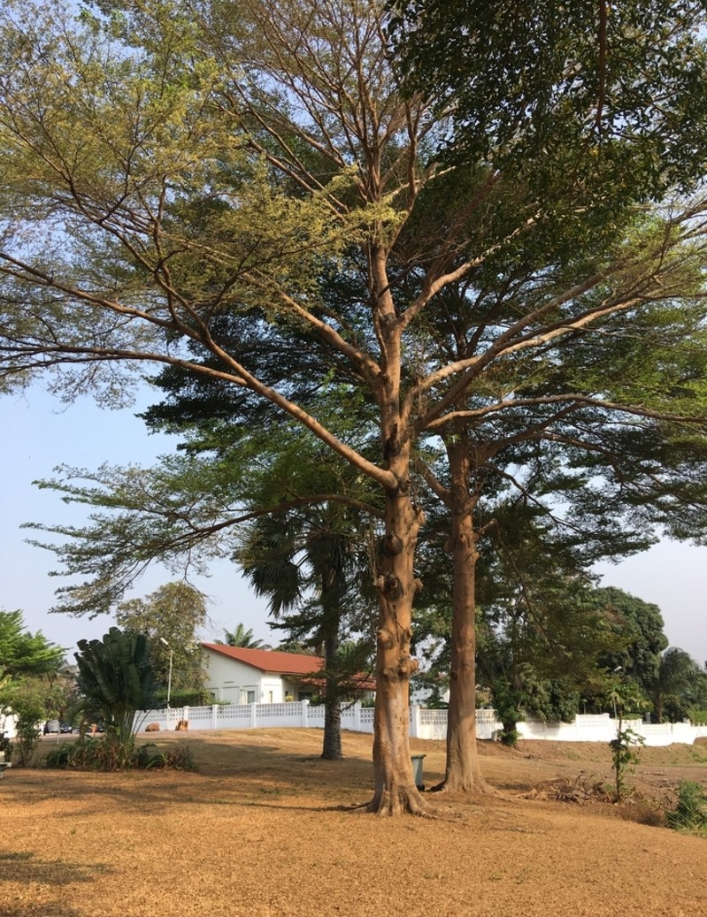 在非洲刚果金生活和工作，战狼2之后很多人担心自己的安全，其实