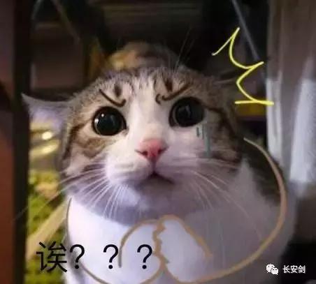 3分钟法治新闻全知道,法治新闻三分钟全知道