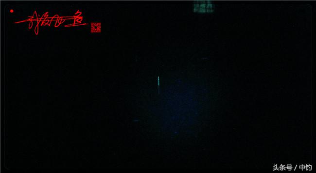 乌河湿地公园夜钓鱼,乌水边夜钓