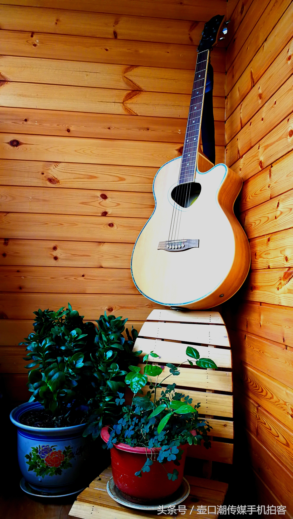 临汾：手机拍拍工作室的花~再好的装修也比不了和大自然和谐相处