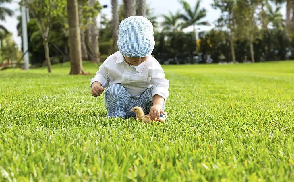 摸*处私**、玩JJ，宝宝真是“耍流氓”？知道真相后的我淡定不少！