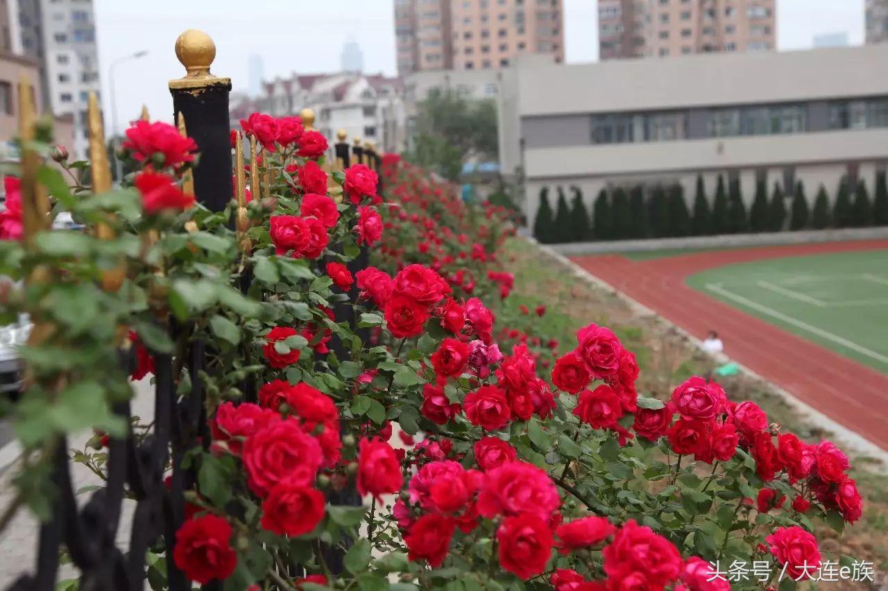 大连最顶尖的学校,大连最好的三个中学