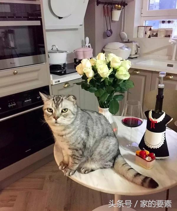 简约修身的马卡龙色,当简约风遇上马卡龙色