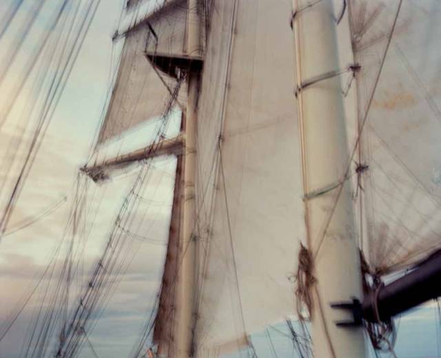 teamLab你颤抖吧!《艺术航海大型回顾展》强势登陆