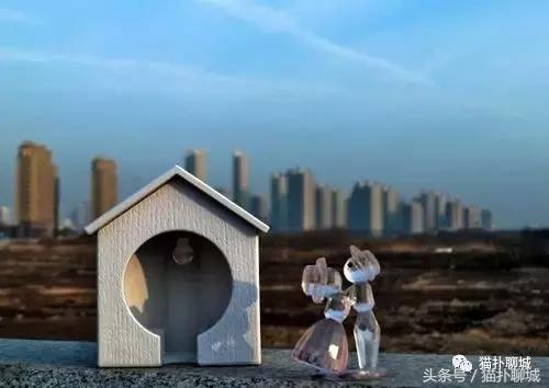 因为爱情,这几个人说出了留在或者离开聊城的原因!