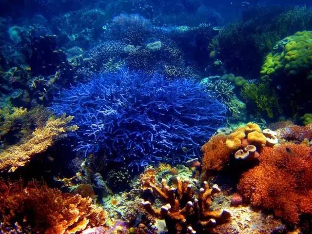 巴拉望岛好玩吗,巴拉望岛最大的岛屿