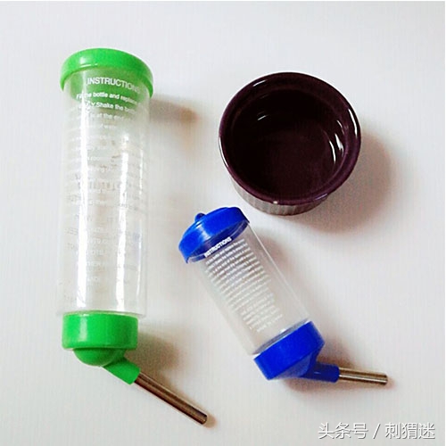 想养宠物需要做什么,想养宠物条件