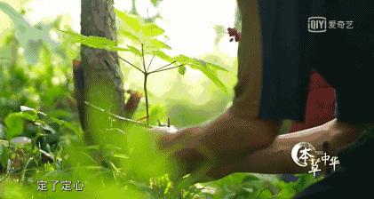 8.9,我们的片终于抢在韩国人前面