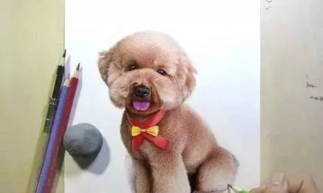 彩铅入门绘画课,彩铅入门基础课