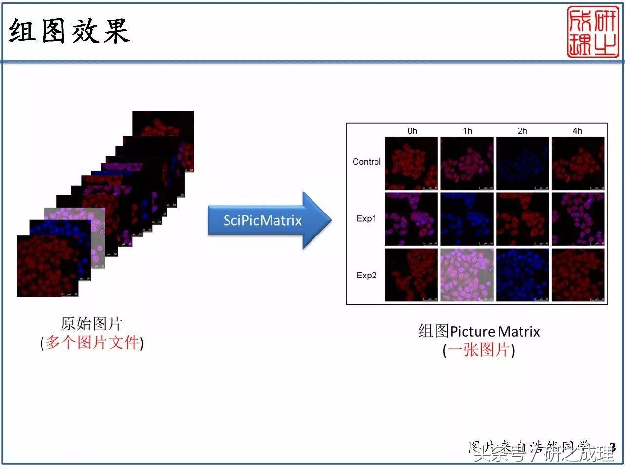 ps绉戠爺缁勫浘鎺掔増,濡備綍鐢╬s杩涜璁烘枃浣滃浘