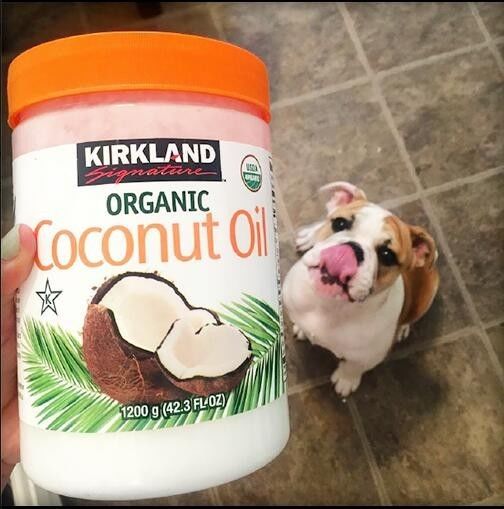 美国第二大超市,上海第二家costco超市开业