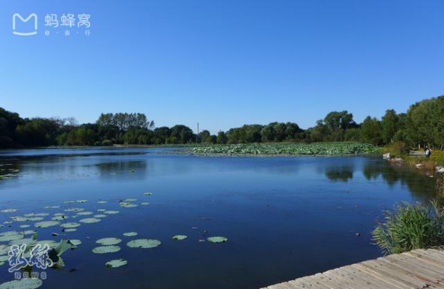 长假不远游的地方,长假不远行浙里有风景