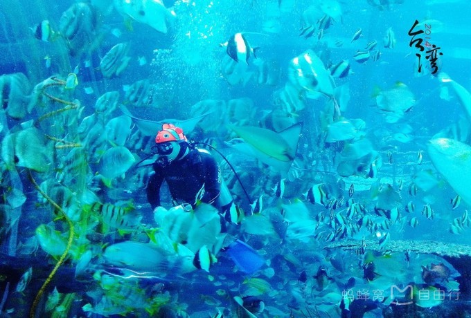 垦丁一日游拼车价格,台湾垦丁拼车一日游价格