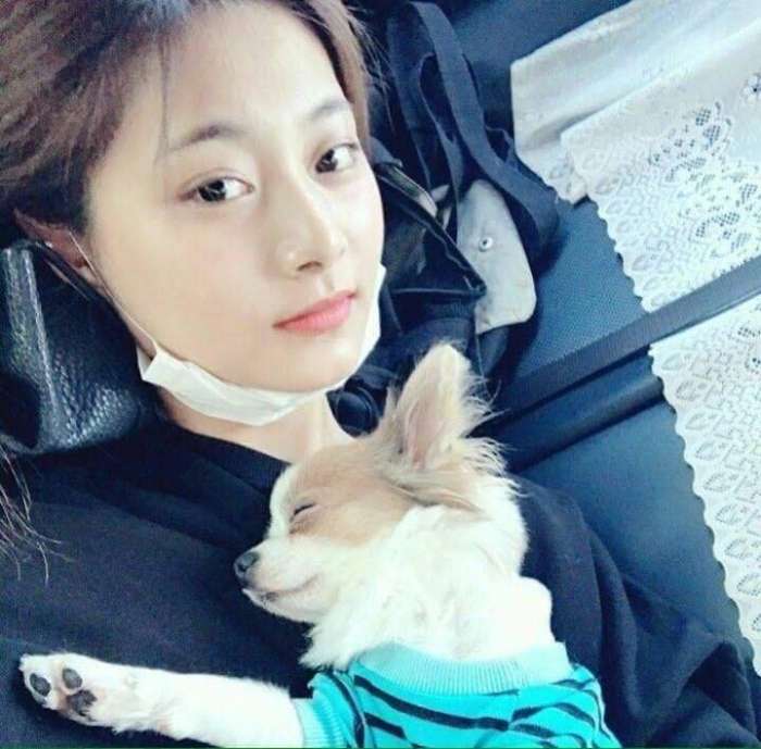 guccichaneldior比较,dior和gucci哪个牌子好