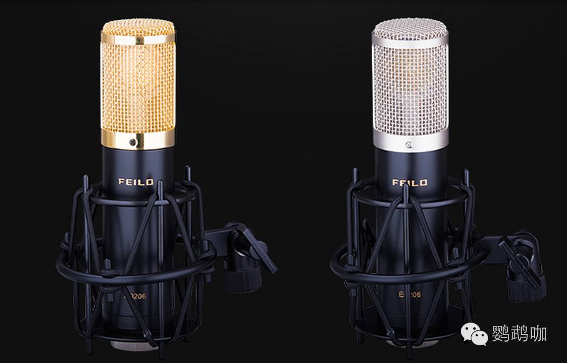 音乐人养成计划,音乐人养成