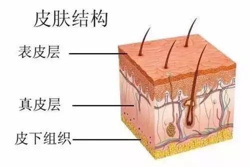 肌肤较干秋冬精华,秋冬不粘腻的精华水