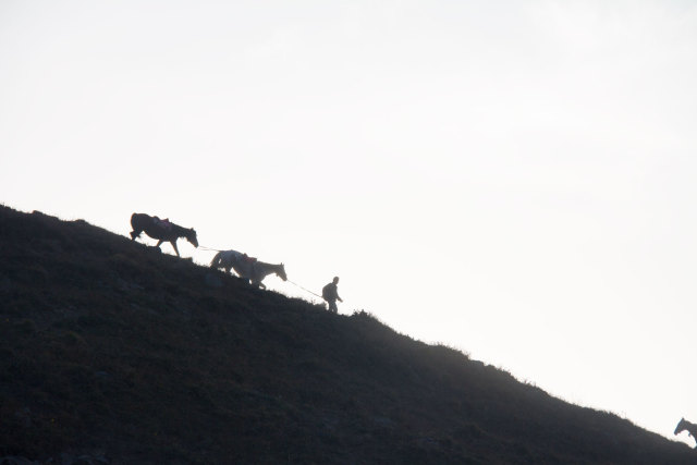 希望以后有时间可以一起去露营,我们还有机会一起去爬山吗