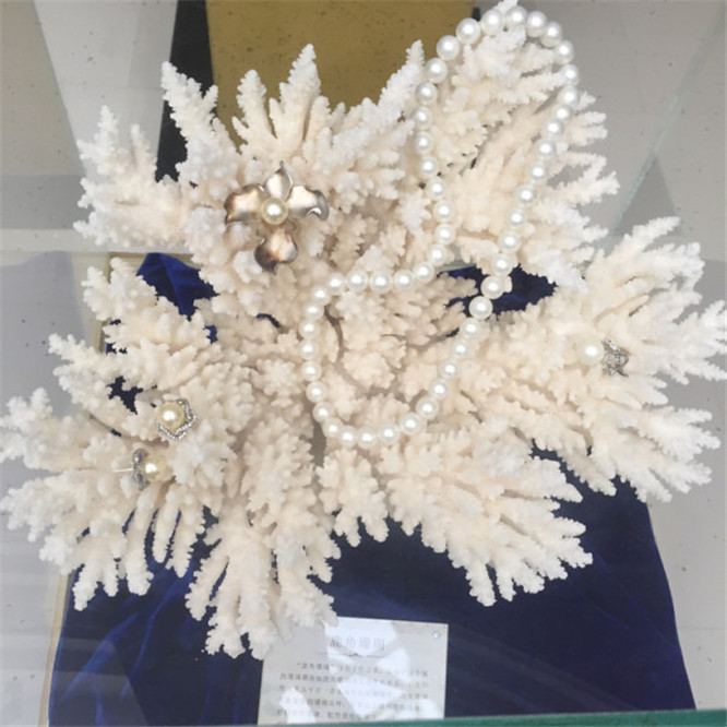 一场说走就走的自驾游旅行,一场说走就走的三亚之旅