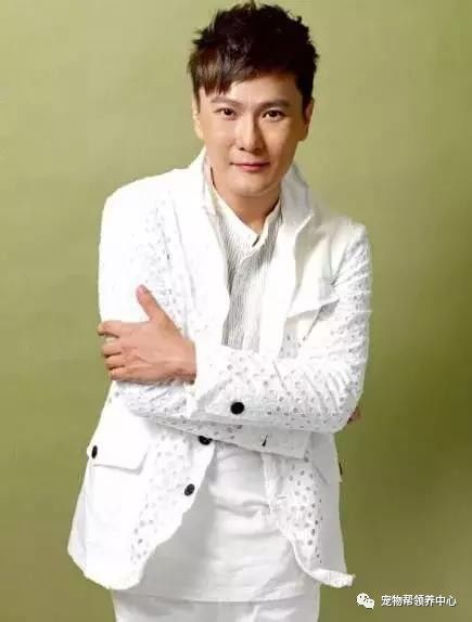 张信哲捡破烂开飞机,张信哲养的宠物