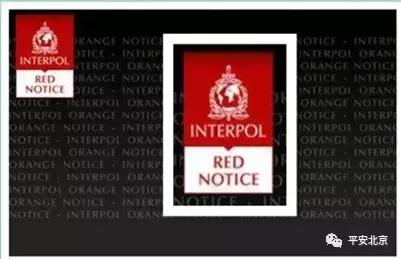 国际刑警组织是一个怎样的存在,国际刑警警察组织是什么组织