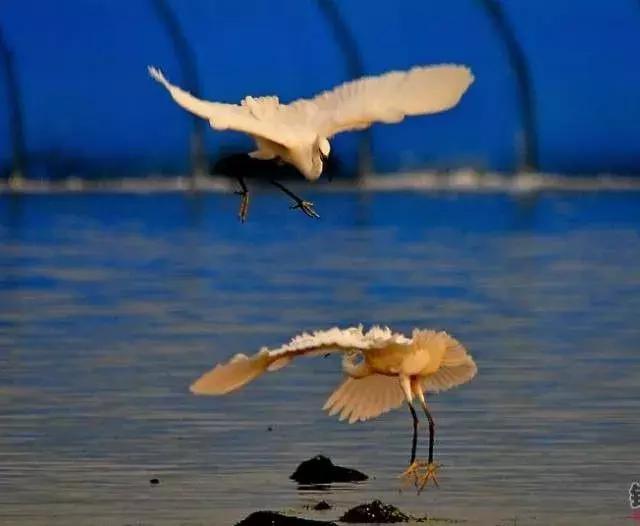 国庆冬秋双节去哪儿最好玩,国庆双节去哪里玩最好