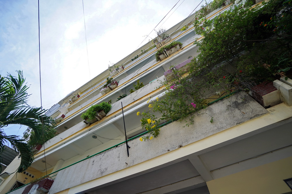 他来越南发展三年，娶妻生子买地，但在儿子的国籍上犯难