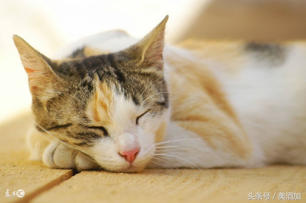 国庆中秋连休,适合秋天喝的酒推荐